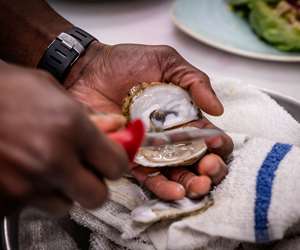 oyster preparation