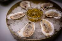 oysters on the half shell